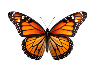  Monarch Butterfly in Flight, Isolated on Transparent Background PNG