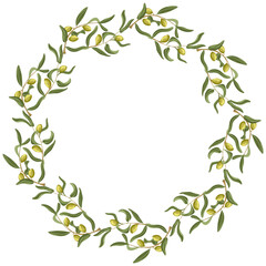 Olive wreath with twigs and leaves. Vector hand drawn botanical illustration. Perfect for eco packaging, wedding stationery, labels, branding and product design