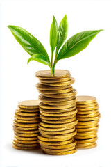 Green Leaves Emerging from Golden Coin Stacks