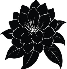 rhododendron on white background.eps