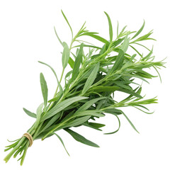 Fototapeta premium Fresh tarragon bundle isolated on a white background showcasing vibrant green leaves and natural texture