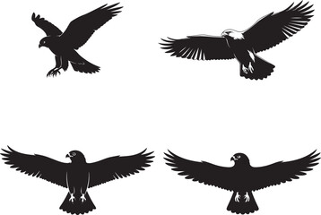 Obraz premium Hawk Silhouettes