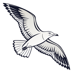 Seagull flying with wings spread bird white