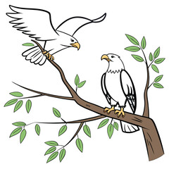 Two eagles perched on a tree branch bird nature