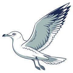 White seagull in flight bird flying