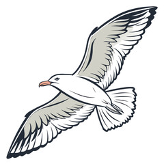White seagull with grey wings flying bird