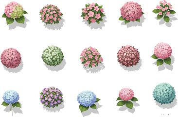 Set of colorful cartoon hydrangea flower bushes, vector blooming shrubs, decorative garden plants for landscape design and floral illustration