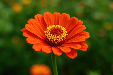 Detailed view of a blossom in a lush garden