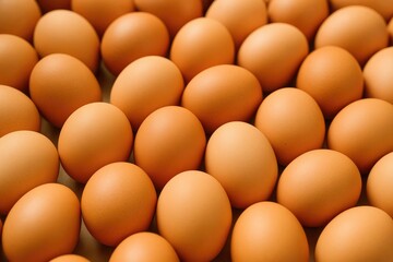 Commonly sold chicken eggs found in stores and markets