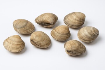 Seafood mollusks on a plain white surface