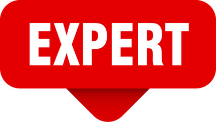 expert sticker. expert sign on transparent background