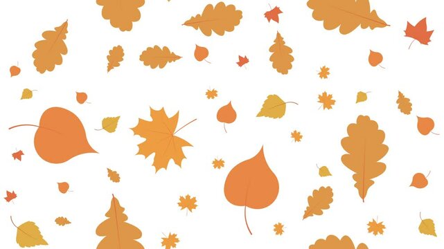 autumn leaves background animation