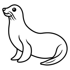 White Sea Lion Sketch