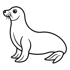 White Sea Lion Sketch