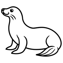 White Sea Lion Sketch