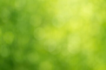 Out of Focus Verdant Backdrops