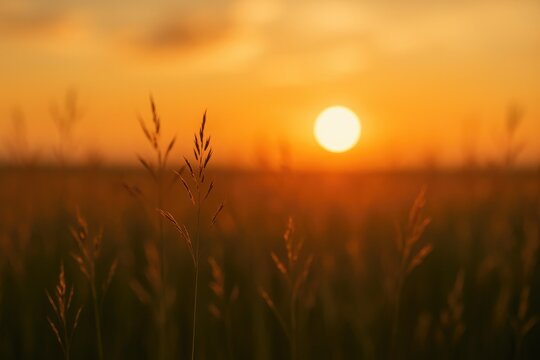 Hazy evening sky over a grassy meadow at dusk