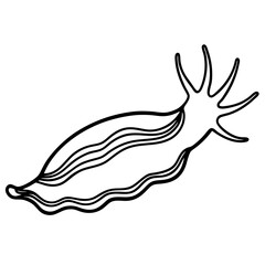 White Sea Slug Line Art
