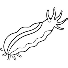 White Sea Slug Line Art