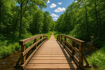 A timber walkway crossing a creek amidst dense woods