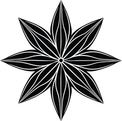Star anise silhouette elegant floral design element