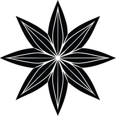 Star anise silhouette eight point star design element