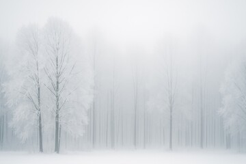 Fototapeta premium Frost-covered trees shrouded in fog during winter