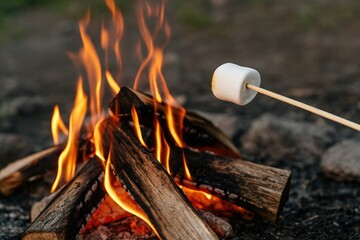 Outdoor campfire marshmallow roasting adventure