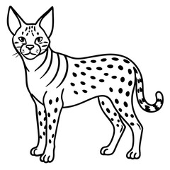 White Serval Line Art
