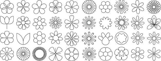 set of floral elements