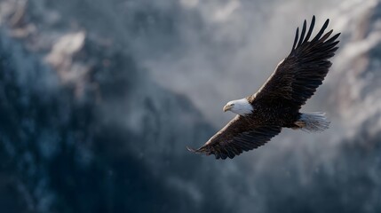 Obraz premium Majestic bald eagle soaring above snow capped mountain peaks