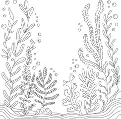 Hand Drawn Underwater Seaweed and Algae Vector Line Art for Coloring and Decoration, Underwater Plants Line Art, Ocean Coloring Page, Marine Flora Outline, Sea Plants Illustration