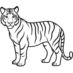 White Tiger Silhouette Linear Animal Art Design