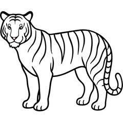 White Tiger Silhouette Linear Animal Art Design