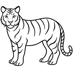 White Tiger Silhouette Linear Animal Art Design