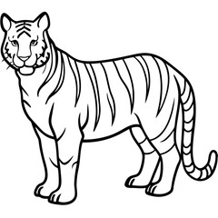 White Tiger Silhouette Linear Animal Art Design