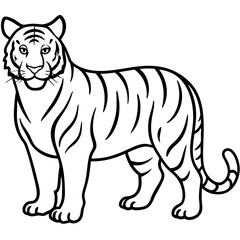 White Tiger Silhouette Linear Animal Art Design