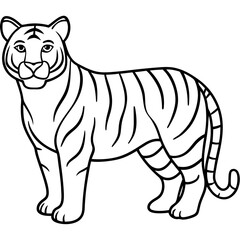 White Tiger Silhouette Linear Animal Art Design