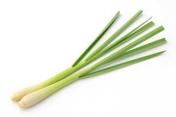 Fresh Lemongrass Stalks on a Plain White Backdrop