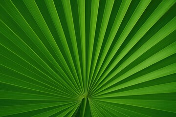 Fototapeta premium Abstract background featuring a green palm leaf