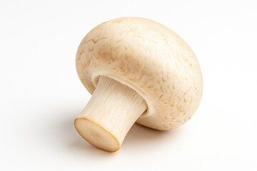 Fresh white mushroom variety on a plain white backdrop