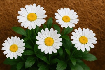 Obraz premium Blooming Flowers with Coco Cut Design