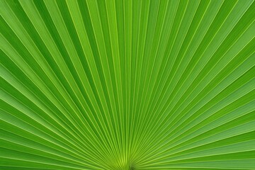 Obraz premium Close-up of a vibrant green palm leaf background