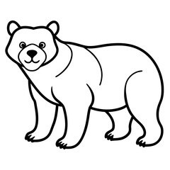 White Vector Sketch Spectacled Bear