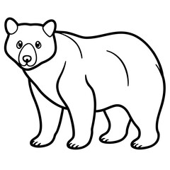 White Vector Sketch Spectacled Bear