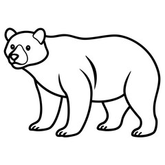 White Vector Sketch Spectacled Bear