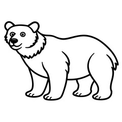 White Vector Sketch Spectacled Bear