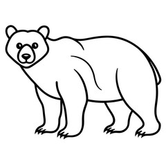 White Vector Sketch Spectacled Bear