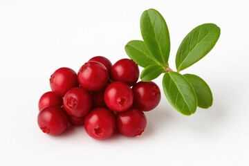 Obraz premium Freshly picked forest berry isolated on white background