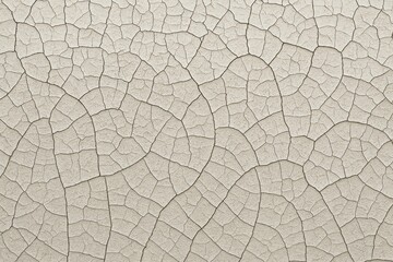 Textured grunge backdrop with cracked paint and craquelure effect